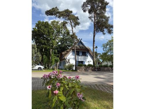 Viesnīcas āriene, Ferienhaus Silbermöwe 136 qm mit Sauna Kamin 2 Terrassen (Ferienhaus Silbermowe 136 qm mit Sauna Kamin 2 Terrassen) in Zirchow