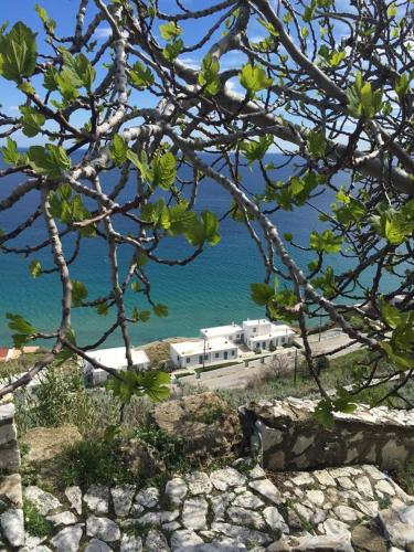  Antigoni Studios, Pension in Skyros