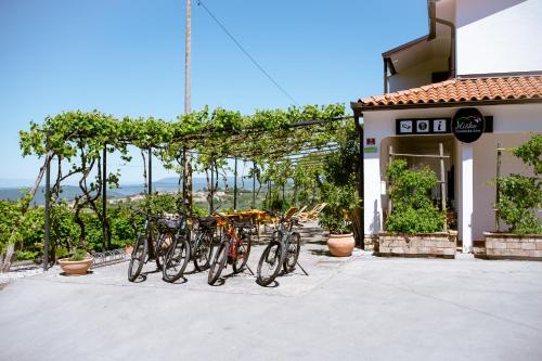 Sports un aktivitātes, Glamping & Camping Green Istria in Truske