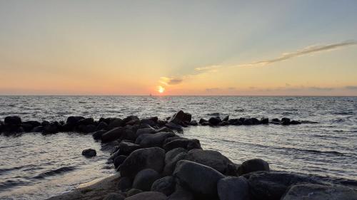 Apkārtne, Ferienhaus Waldidyll - Erholung zwischen Schlei und Ostsee in Winnemark