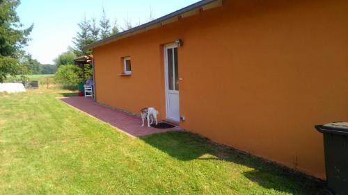 Viesnīcas āriene, Ferienhaus "Buchholz" in Molln (Mecklenburg-Vorpommern)