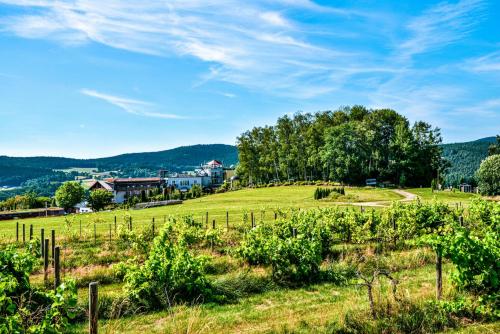 . Spirit & SPA Birkenhof am Elfenhain