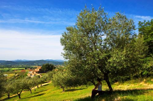 Wine Resort Conti di San Bonifacio