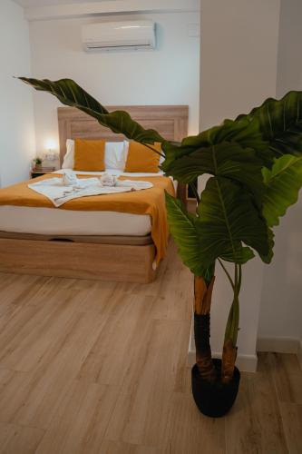 Andalusian Stay II, Málaga