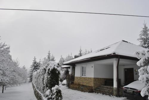 Ieeja, Ubytovanie Zencuch in Drienica