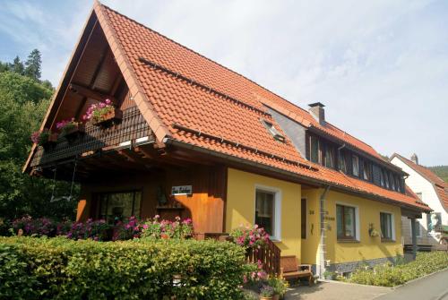 Pension Haus Brückner in Wildemann, Deutschland