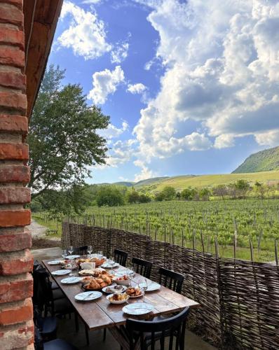 Θέα, Iora Winery in Sagarejo