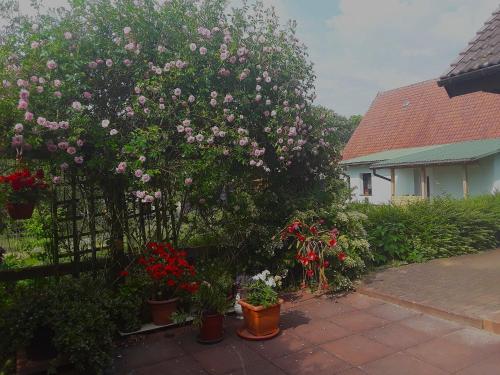 Viesnīcas āriene, Ferienwohnung am Hufegraben in Grabowhofe