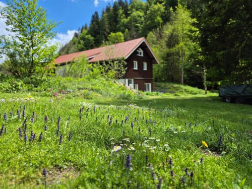 Sägemühle Eschachthal
