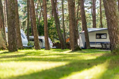 Urlaub im Wohnwagen - mitten im Wald in Lütow, Deutschland