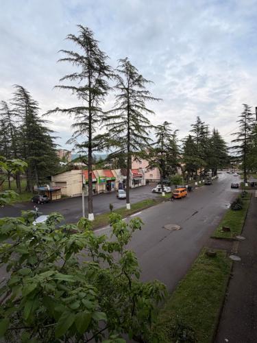 Amazing flat in the best location in Tsqaltubo