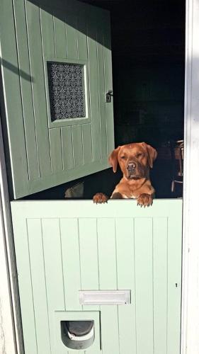 Chartwell Cottage, Rilla Mill-Cosy Cornish Cottage in North Hill
