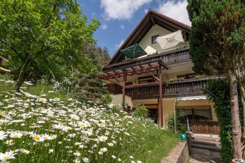 Haus Wiesenttal - Hummeltal