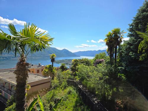 Casa Collina in Brione sopra Minusio