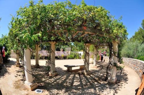 附近景點, Les Oliviers in 巴拉呂克萊班