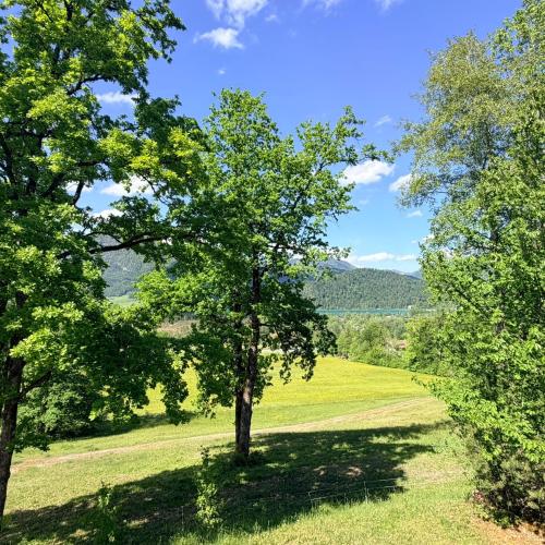 View, Laimer Urschlag in Kleefeld