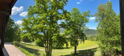 Surrounding environment, Laimer Urschlag in Kleefeld