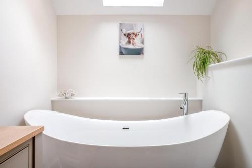 Iekārtas, 4 Bed in Taunton oc-w35167 in West Monkton