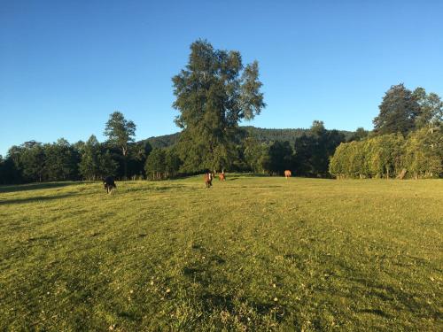 Parques de Afunalhue