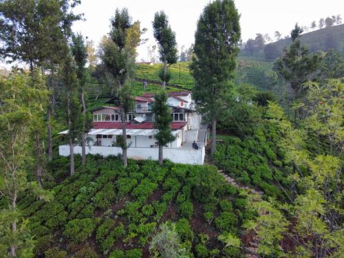 Pohled zvenku, Mad & Nomad Backpackers Hostel in Ooty