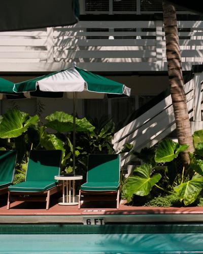 Perroquet Hotel - Davie