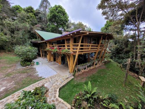 Refugio en el Bosque, Medellín