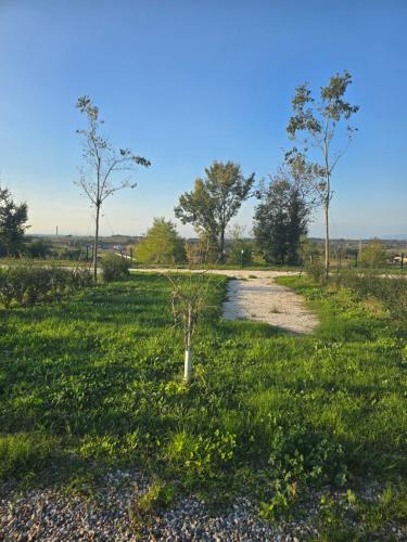Agricampeggio AL CIELO STELLATO 2
