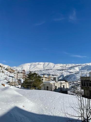 Escape Faraiya in Faraya