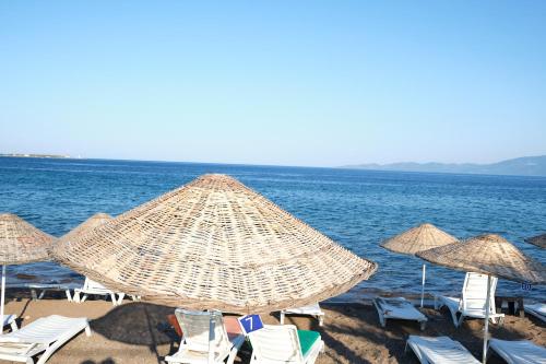 Ekin Assos in Sokakagzi