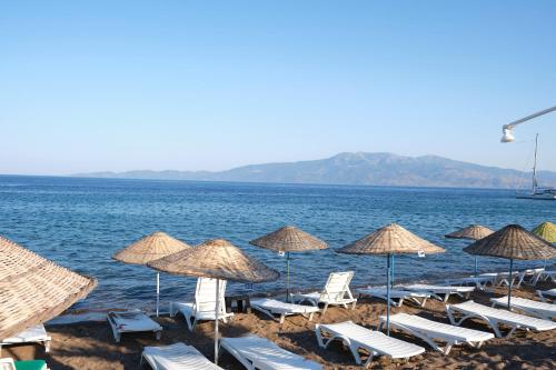 Ekin Assos in Sokakagzi