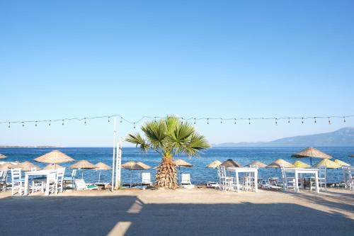 Ekin Assos in Sokakagzi