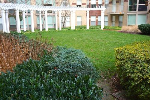 1BR Furnished Apartment at Penn Quarter apts - image 3