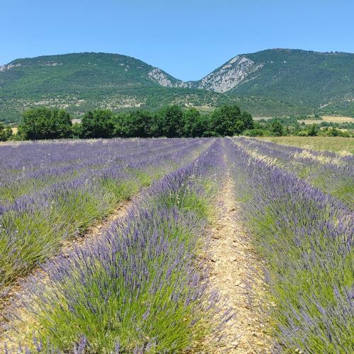 Okolí, Gite Aubanel' Drôme Provencale (Gite Aubanel' Drome Provencale) in Saint Auban Sur L'Ouveze