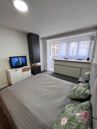 Sunny room