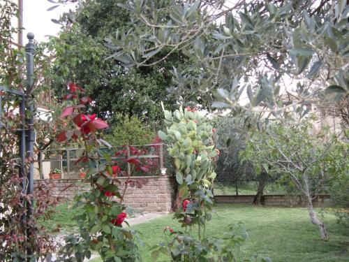  Casa l'Arcobaleno, Pension in Montecchio bei Santa Restituta