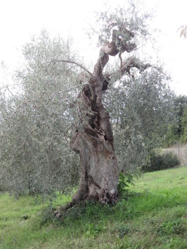  Casa l'Arcobaleno in Montecchio