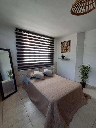 Apartment among plants in Los Ceibos