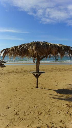 Il Giardino Dei Carrubi - image 8