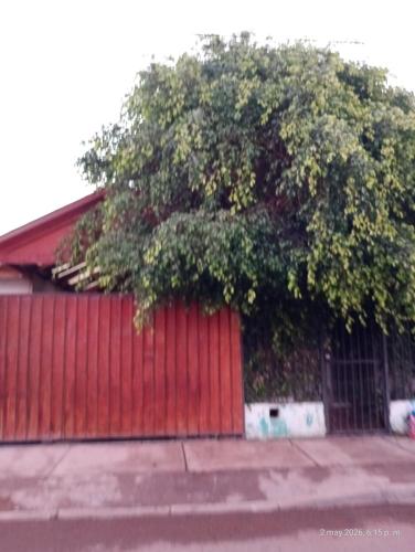 . Valle de Elqui