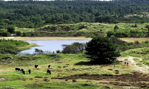 สภาพแวดล้อมโดยรอบ, Le-Clochard in กรูท เมท ฮาร์เคน