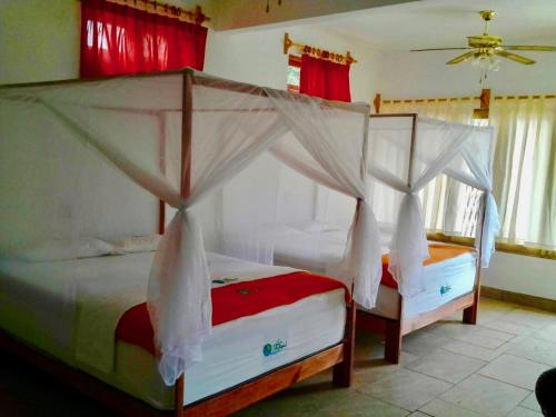 Cabañas Telayú Cabañas Telayú