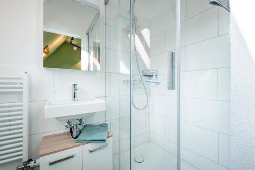 Dusche, Steinbockblick Maienfeld in Landquart