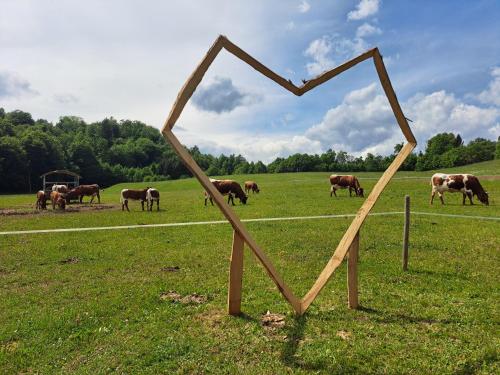 Pužman Farm Glamping