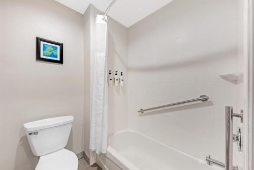 Homewood Suites Laredo at Mall Del Norte - image 34