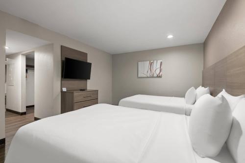 Red Roof Inn & Suites Wildwood FL - image 39