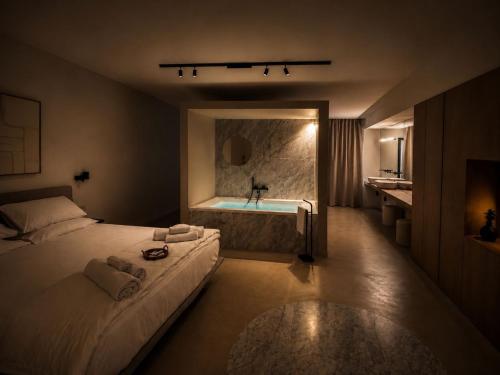 Idro Suite