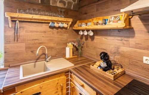 virtuve, Pet Friendly Home In Gornja Slivnica in Slivnica