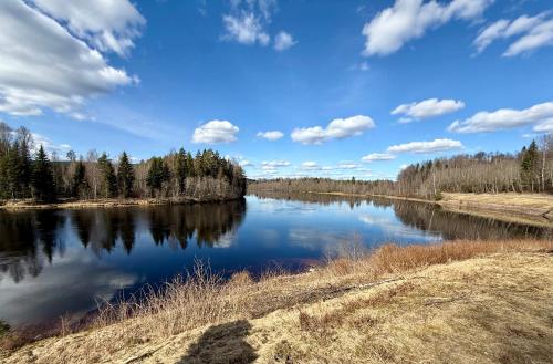 SwedenWoods in Hagfors