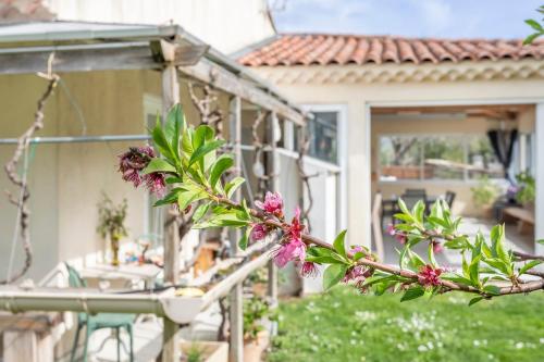 Garden, Le Soleil de Provence et le jardin avec l'Olivier in Les Olives