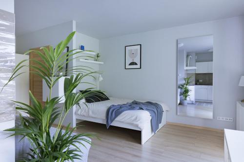 Krowodrza Apartment's, Cracovie